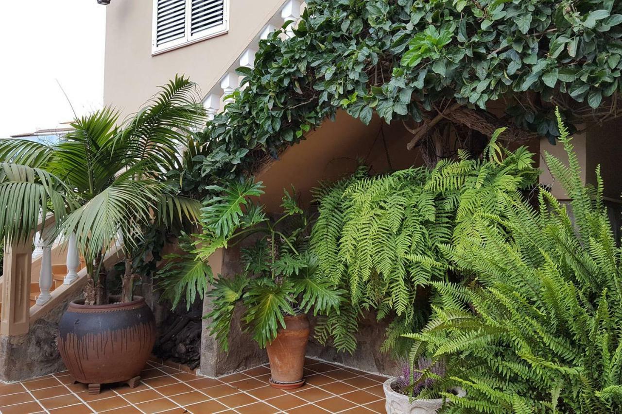 Orotava Garden House Perfect For Families Villa La Orotava Exterior photo